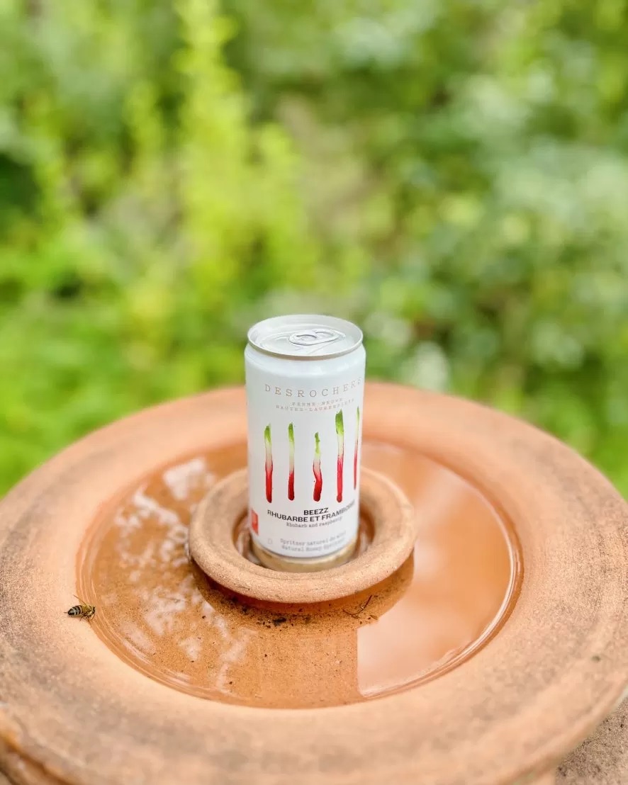 Spritzer Beezz Rhubarbe et Framboise – Image 2