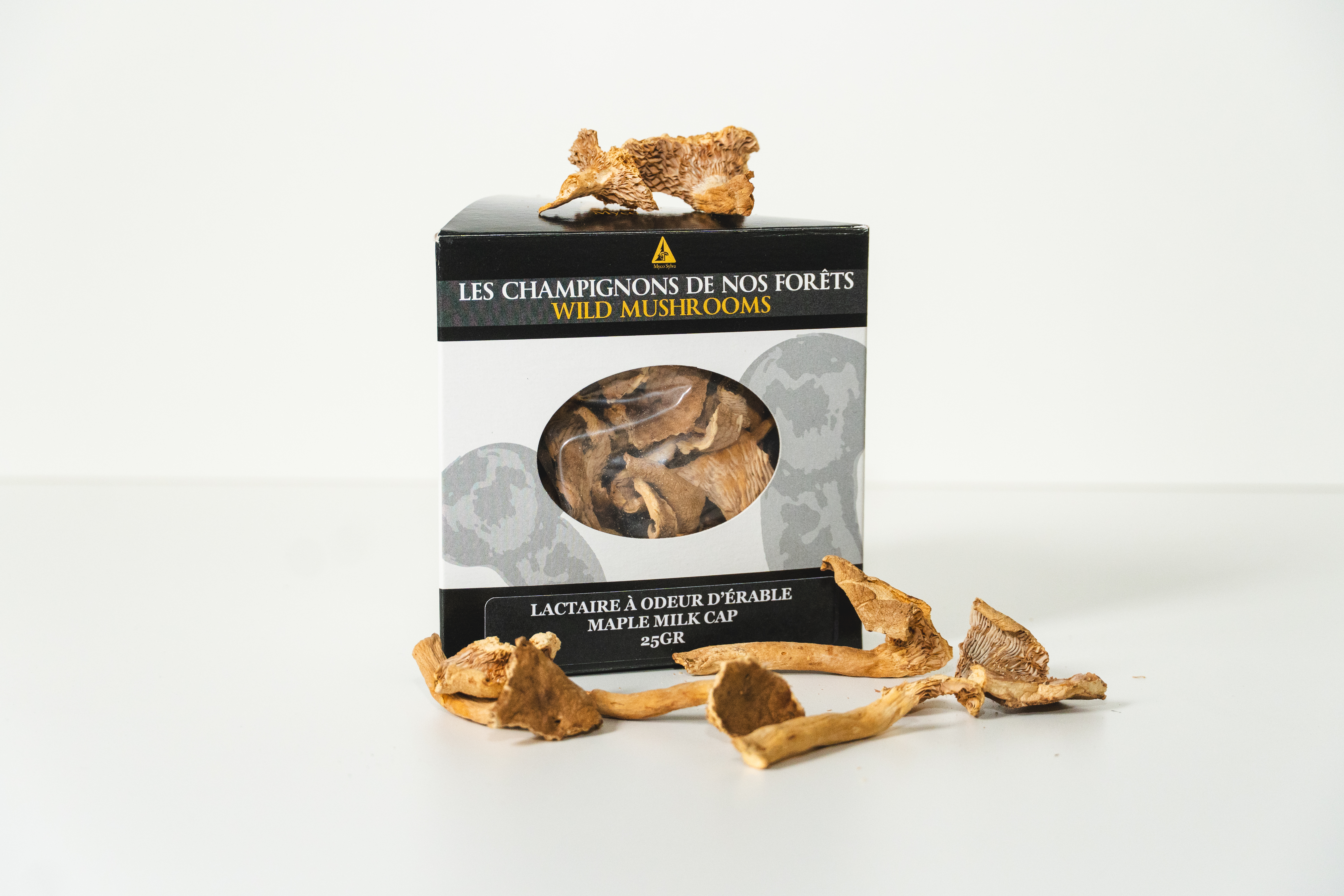 Mushrooms Maple milk cap