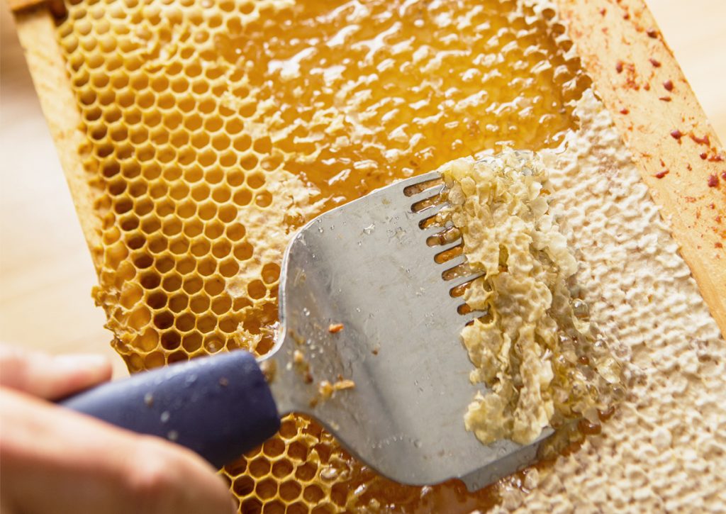 La récolte du miel : un travail par étapes